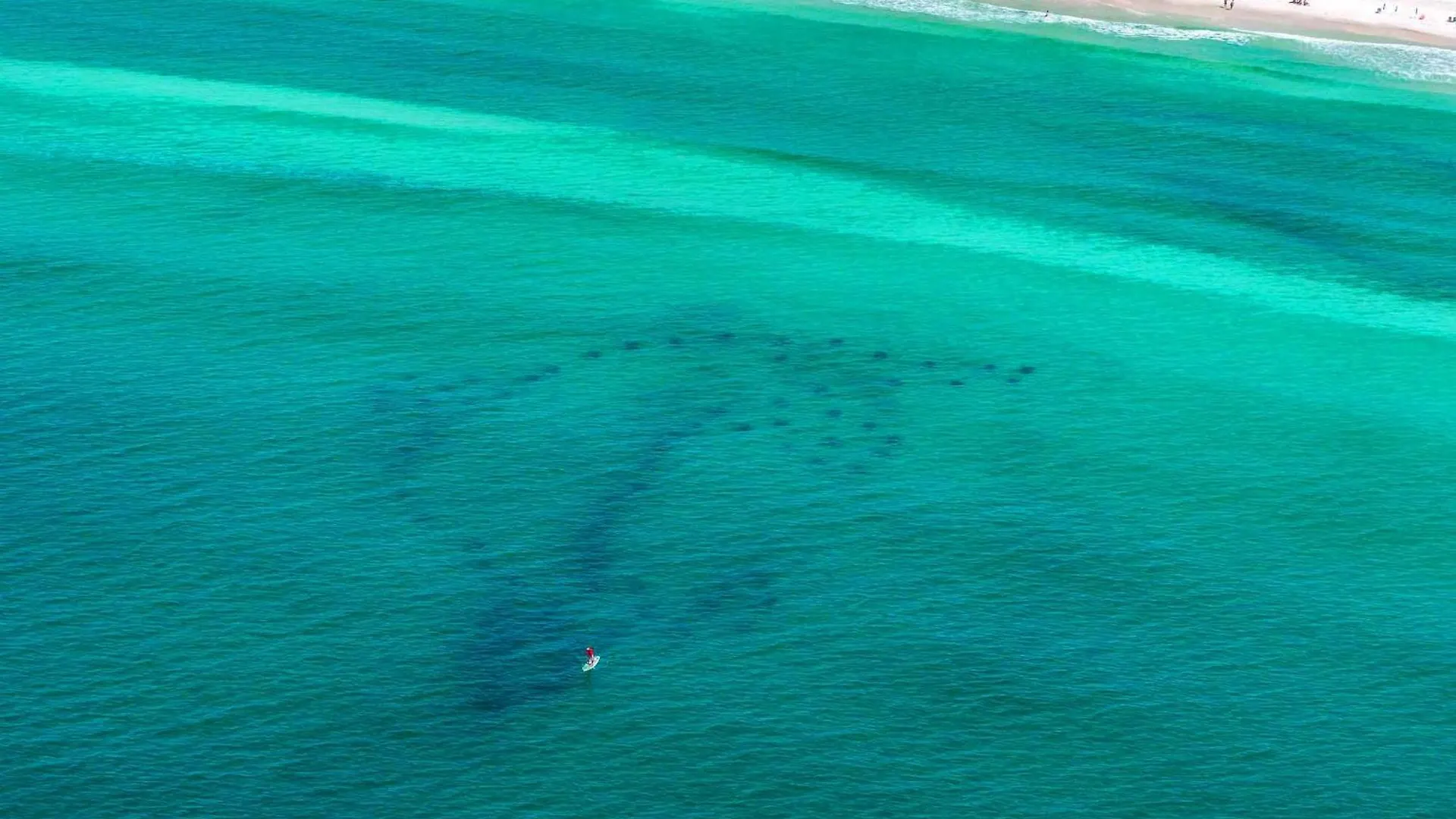 Beach Resort 310 Destin United States